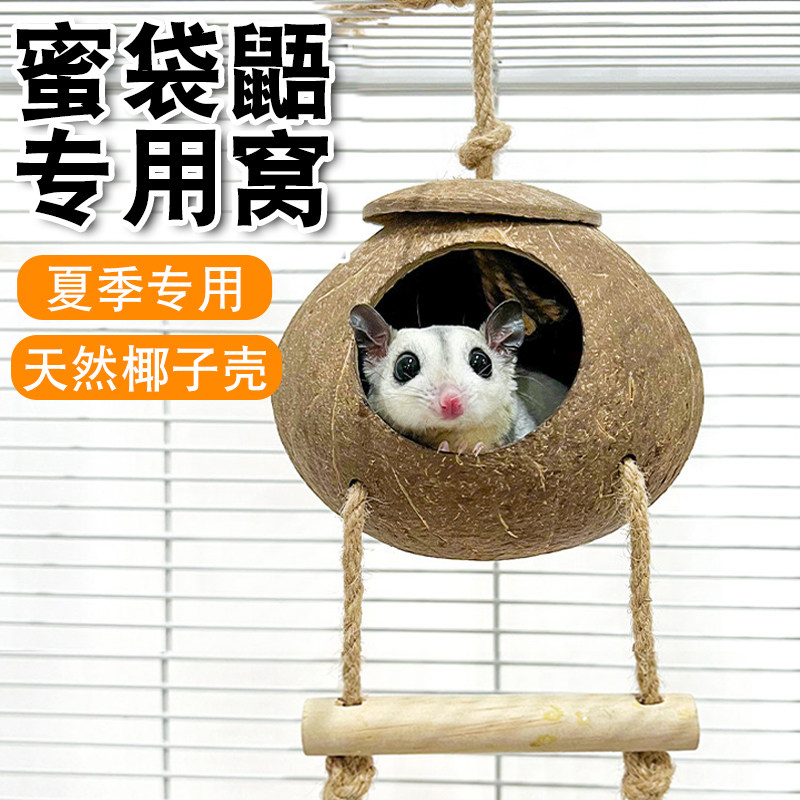 蜜袋鼯窝椰子壳躲避屋夏季睡窝图片