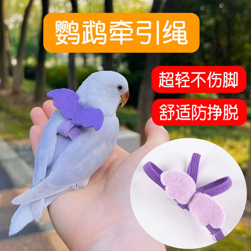 玄凤鹦鹉牵引绳遛外出放飞绳背带超轻小太阳小鸟专用遛鸟神器玩具