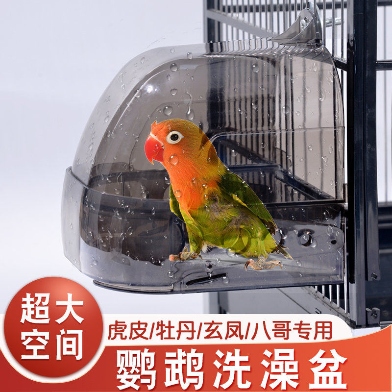 虎皮牡丹鹦鹉洗澡盆洗澡神器大号