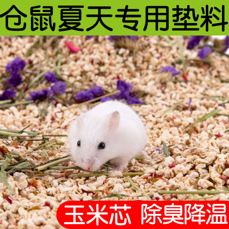 金丝熊仓鼠夏天专用垫料凉快玉米芯除臭夏季日降温花草尿砂沙用品