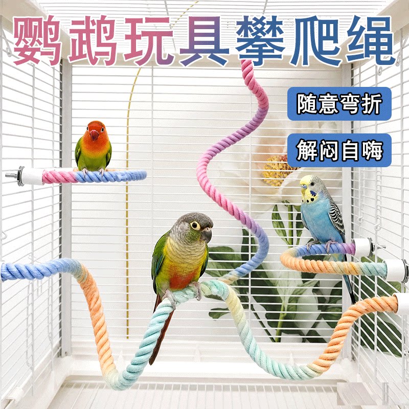 鹦鹉秋千攀爬绳玩具解闷自嗨旋转图片