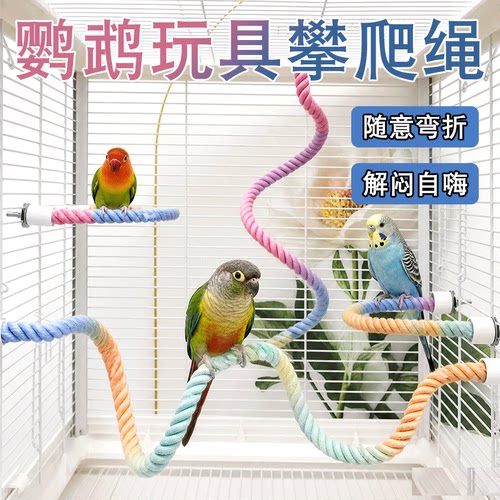 鹦鹉秋千攀爬绳玩具解闷自嗨旋转