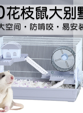 花枝鼠笼子专用特大号饲养箱金丝熊仓鼠60cm基础笼防啃咬两层超大