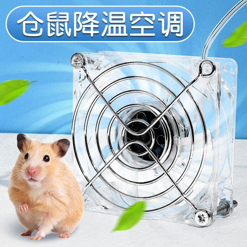 金丝熊仓鼠夏天降温除臭消暑散热