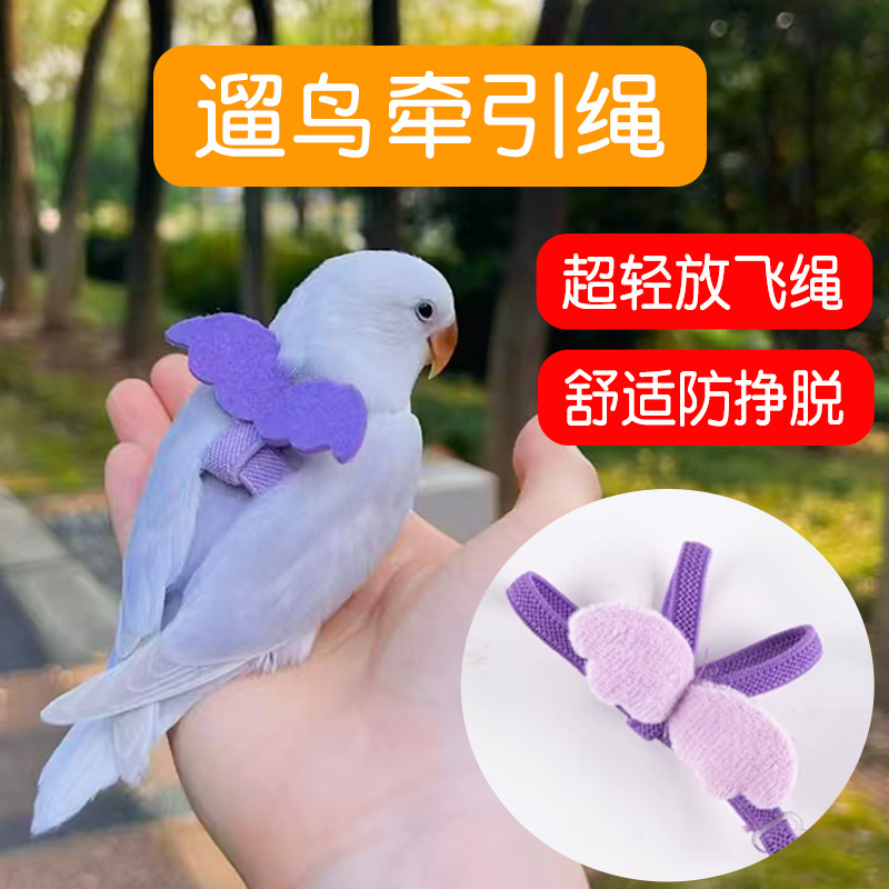 小鸟牵引绳外出超轻遛鸟神器