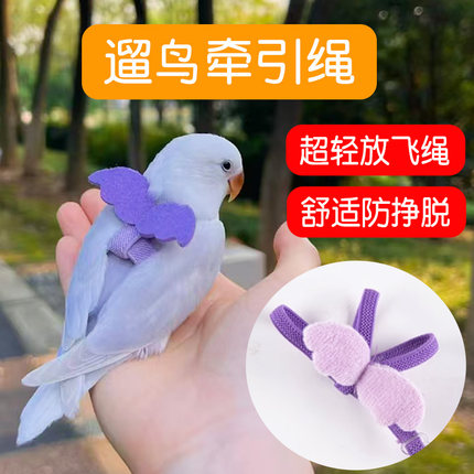 小鸟牵引绳外出超轻玄凤鹦鹉放飞绳牡丹鸟用背带遛鸟神器用品玩具
