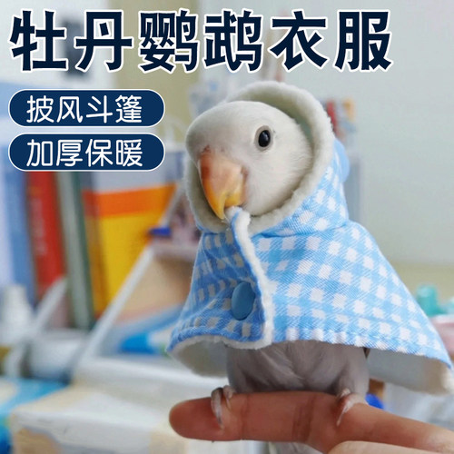 牡丹鹦鹉衣服过冬披风斗篷