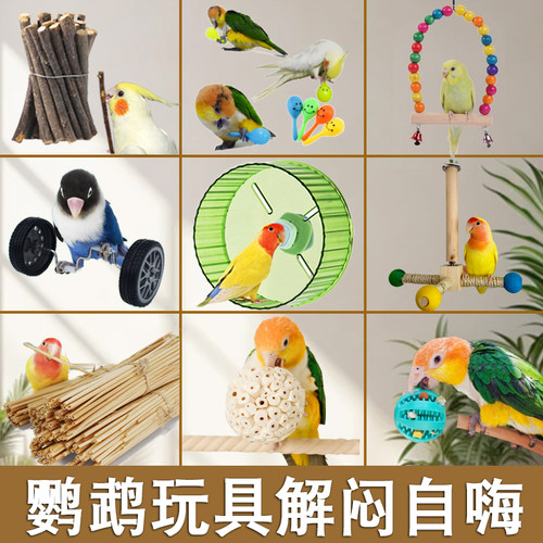 小鸟鹦鹉玩具解闷自嗨虎皮牡丹