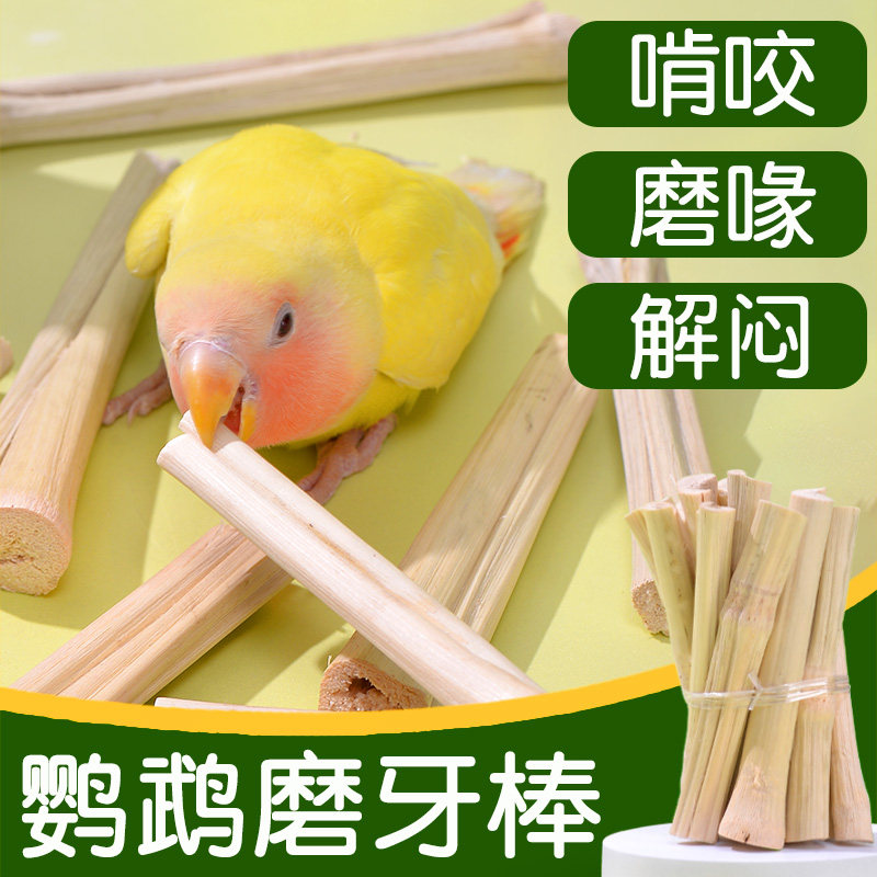 鹦鹉磨牙棒小鸟啃咬玩具解闷自嗨虎皮玄凤牡丹专用磨嘴器用品大全,宠物/宠物食品及用品,鸟食,淘宝优惠券,粉丝福利购,淘宝优惠卷