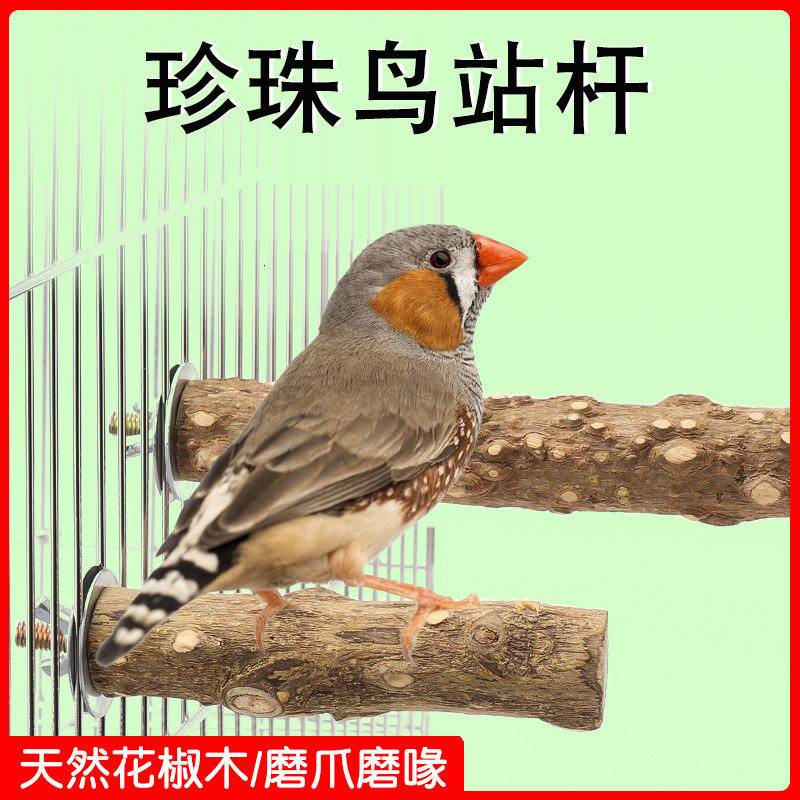 珍珠鸟站杆花椒木磨牙棒磨爪磨嘴