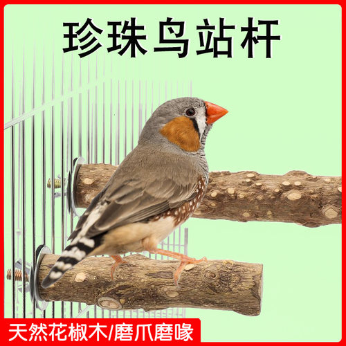 珍珠鸟站杆花椒木磨牙棒磨爪磨嘴