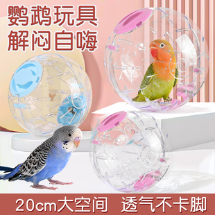 鹦鹉玩具解闷自嗨跑球虎皮牡丹解压专用运动跑步球机新型遛鸟神器