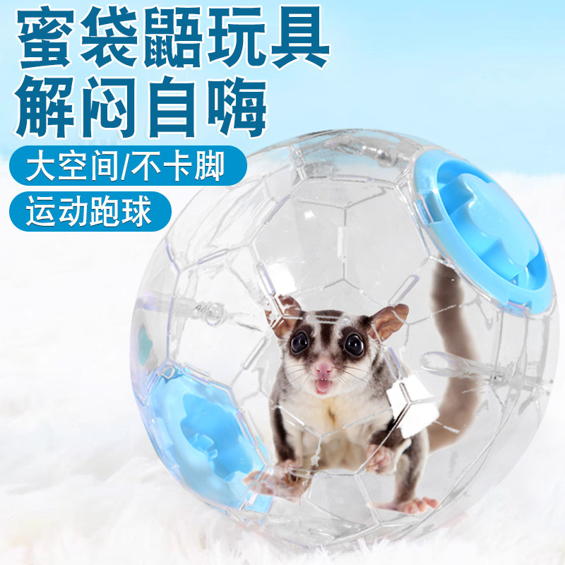 蜜袋鼯玩具解闷自嗨跑球不卡脚