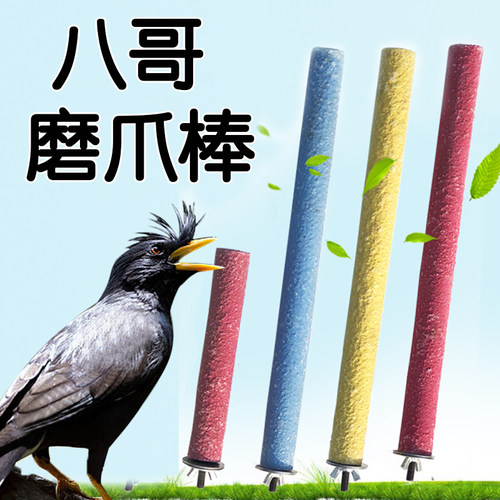 八哥磨爪棒专用站杆磨嘴器