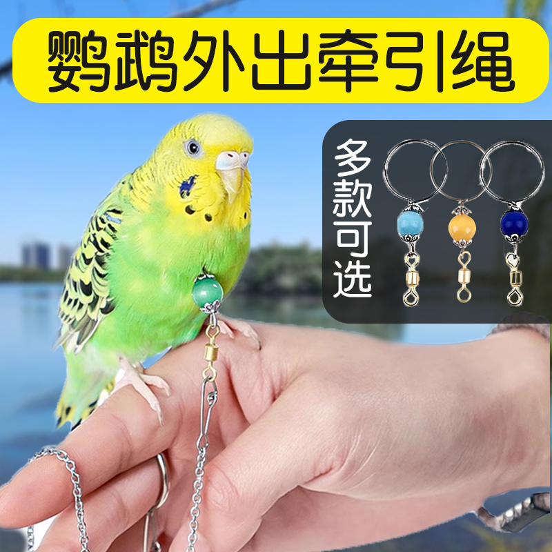 鹦鹉外出牵引绳放飞遛鸟绳超轻