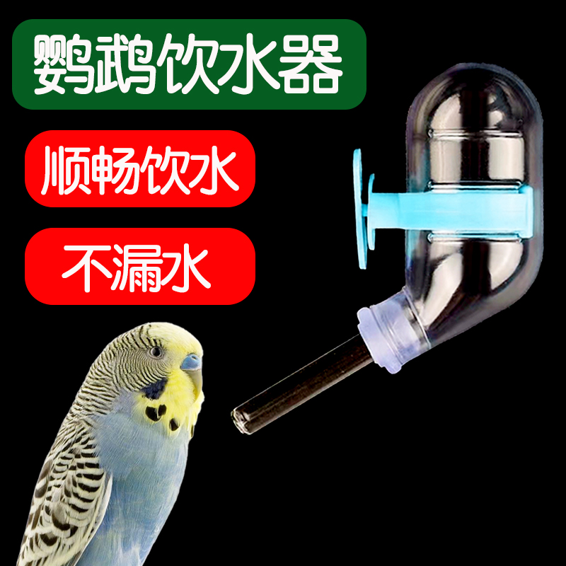 鹦鹉饮水器真空水壶畅饮水不漏水
