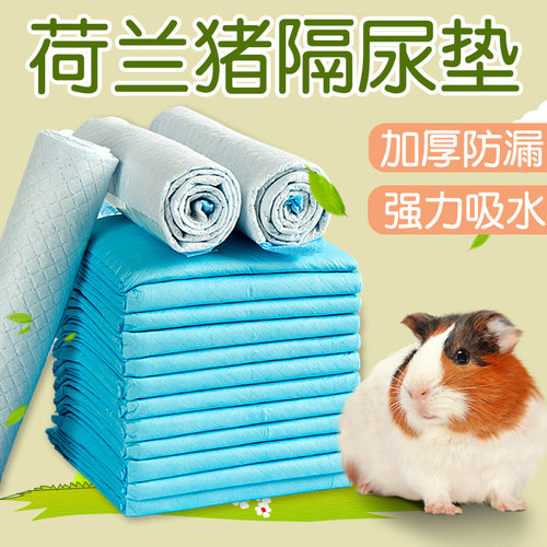 荷兰猪隔尿垫除臭垫料粪便清理