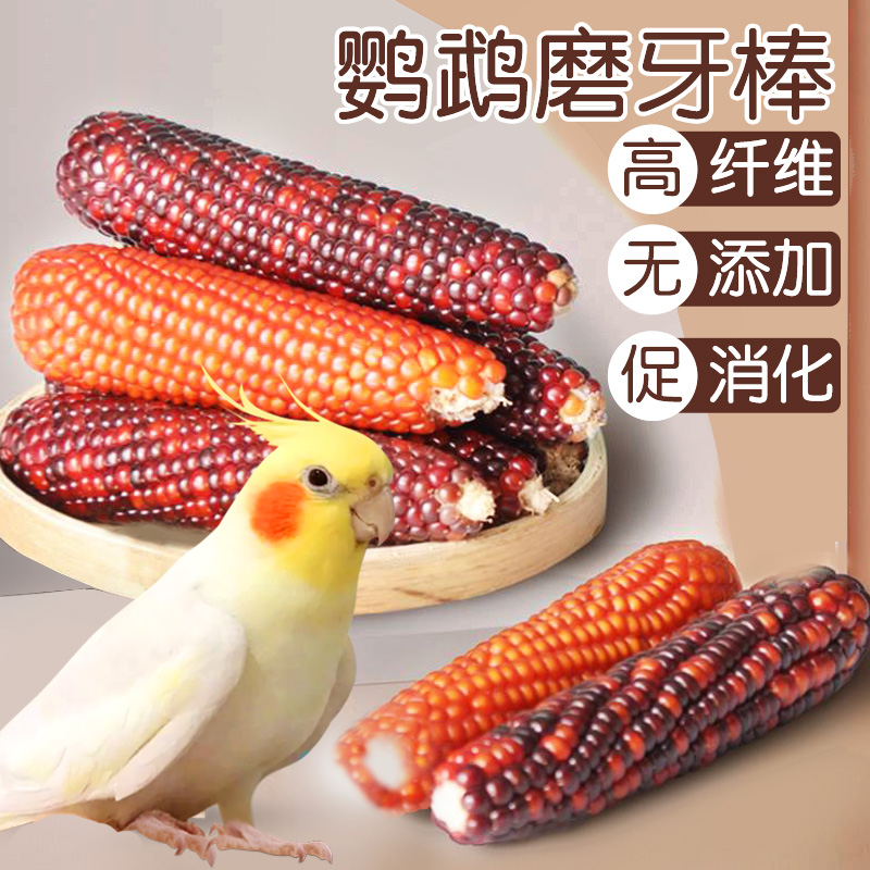 鹦鹉磨牙神器啃咬解闷娱乐自嗨