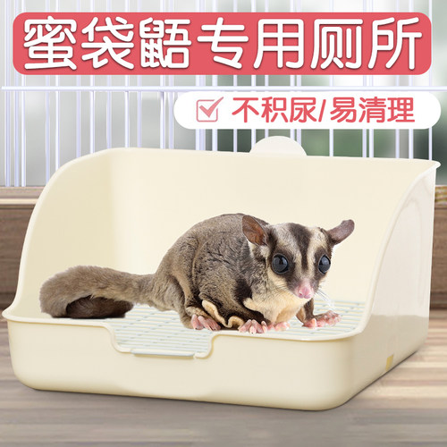 蜜袋鼯专用厕所尿盆用品