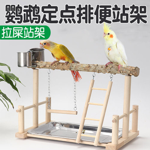 鹦鹉定点排便站架拉屎架子
