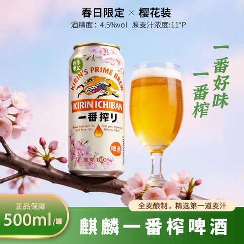 麒麟一番榨樱花啤酒500ml听装