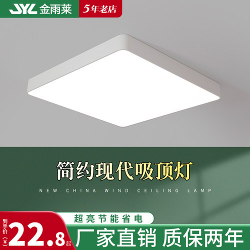 金雨莱led简约现代客厅房间走廊