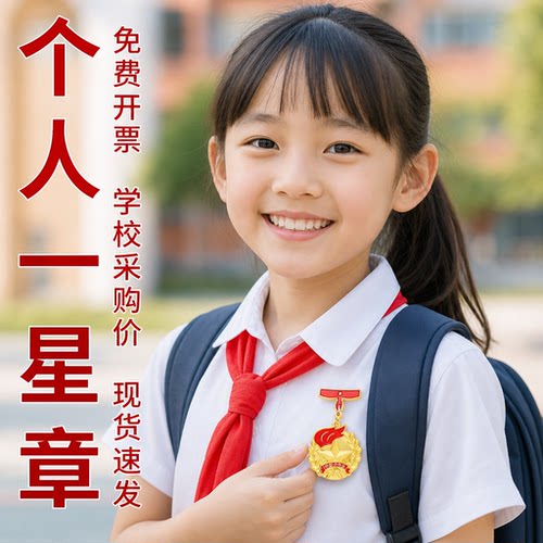 一星章二星个人红领巾奖章集体章