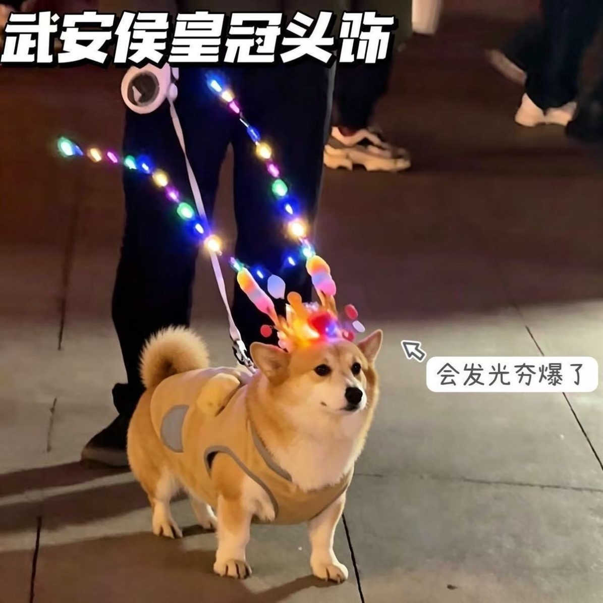 武安侯柯基头冠发光皇冠夜跑萌宠拍照玩具发箍武安侯同款头饰宠物