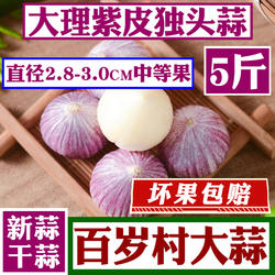 云南独头蒜紫皮大蒜独头2025大蒜头红皮干蒜独蒜5斤新蒜干紫皮蒜