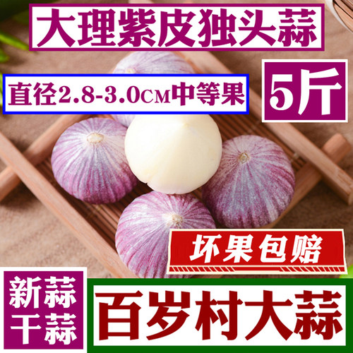 云南独头蒜干蒜紫皮蒜