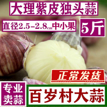 云南独头蒜紫皮大蒜独头干大蒜头红皮干蒜独蒜5斤紫蒜新鲜紫皮蒜