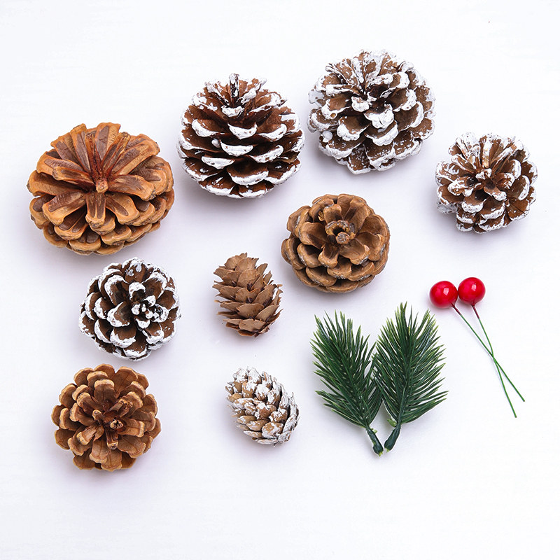 圣诞松果红果礼盒配饰diy材料