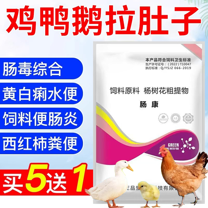 鸡拉肚鸭拉水便白便黄绿便鸡肠道药鸡鸭鹅止痢鸭鹅鸡专用肠道安宁