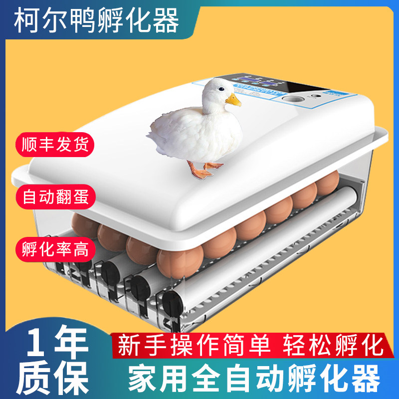 孵蛋器小型智能小鸡孵化机箱全自动家用双电暖立方柯尔鸭蛋孵化器|msdalam kategori daging perikanan/Buah-buahan segar dan sayur-sayuran/dimasak, daging mentah/daging, Lain-lain produk daging mentah - dari Buy2taobao.com untuk memberikan perkhidmatan ejen Taobao profesional membeli