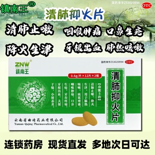 镇南王清肺抑火片降火咳嗽咽喉肿痛牙痛大便干燥口鼻生疮药by1