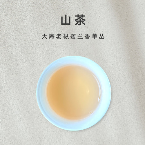 「山茶」大庵蜜兰香老枞 凤凰单丛【百味茶集】@关乎于茶茶友会
