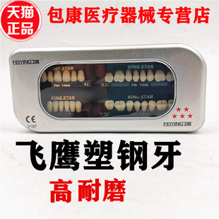 牙科材料飞鹰五星合成树脂牙 硬质树脂牙二层色高耐磨齿科 塑钢牙