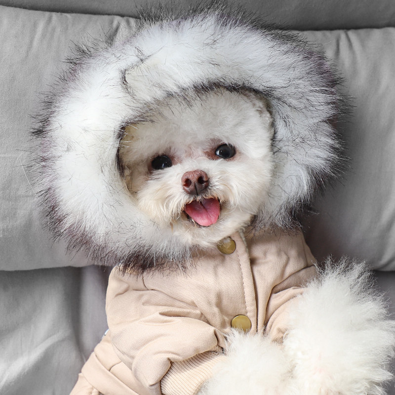 狗狗衣服秋冬装加厚泰迪博美雪纳瑞小型犬宠物冬季幼犬四脚衣冬天