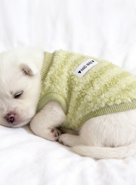 狗狗衣服奶狗冬天加厚防掉毛比熊西高地防着凉绒背心高颜值两脚衣