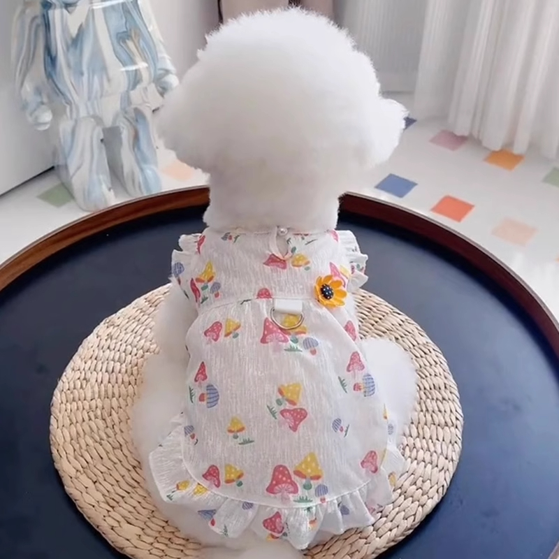 狗狗衣服夏季薄款公主裙可牵引小体比熊向日葵花边圆领可爱两脚衣