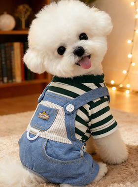 狗狗衣服小型犬冬天厚款保暖泰迪雪纳瑞外出防着凉带牵引环背带裤