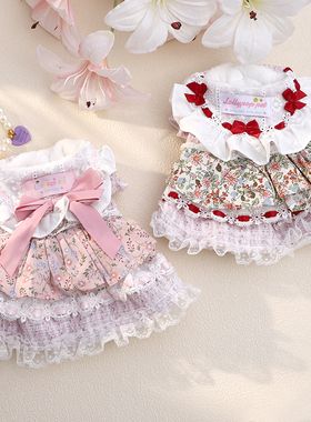 狗狗秋冬衣服小型犬冬天保暖加绒冬装防掉毛高颜值花边裙两脚裙子