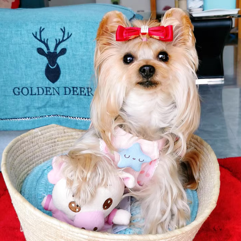 狗狗牵引绳防冲爆防挣脱可调节