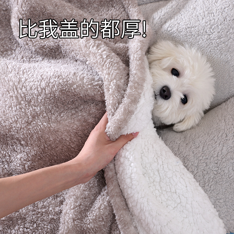 狗狗毛毯睡觉被子冬加厚小狗毯子冬季保暖睡垫棉垫小型犬宠物专用