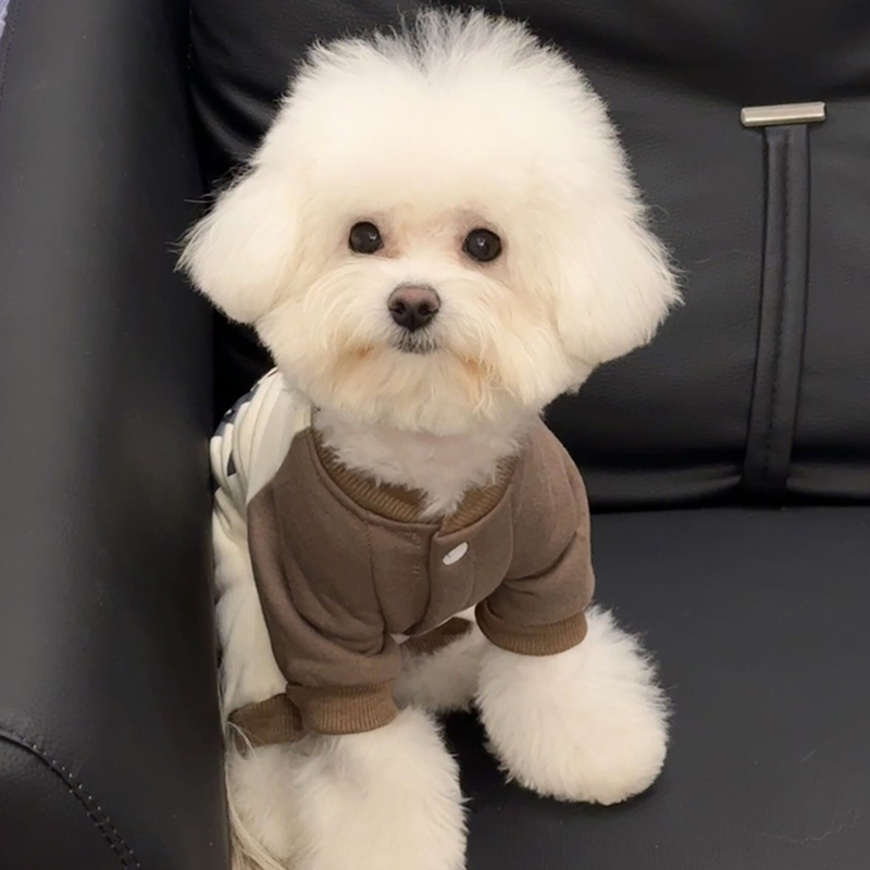 小狗冬天外出穿的衣服可牵引卫衣