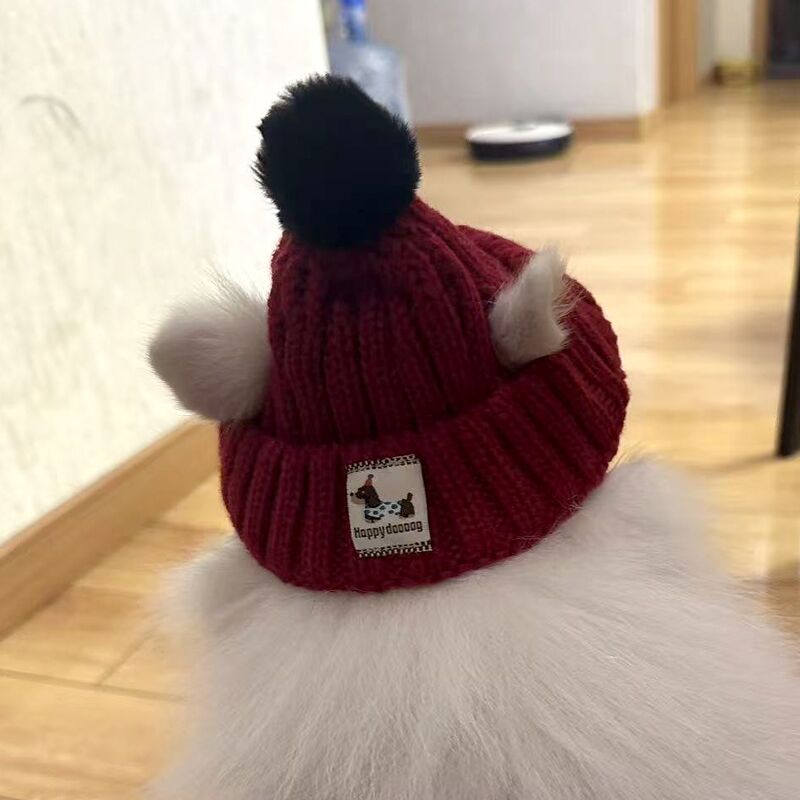 狗狗帽子冬露耳朵小型犬冬天保暖马尔济斯用可爱针织帽冬季毛球帽