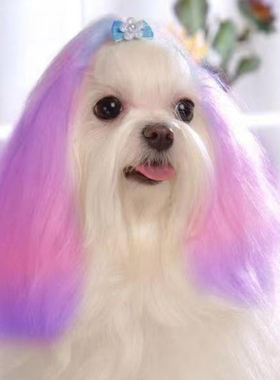 狗狗染发剂宠物专用染毛膏小狗毛发染色剂小体博美泰迪染发剂白色