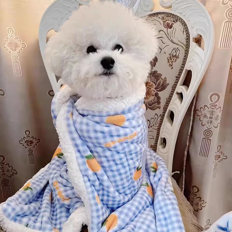 狗狗毛毯睡觉被子冬加厚小狗毯子冬天保暖毯子午休毯可爱风沙发毯