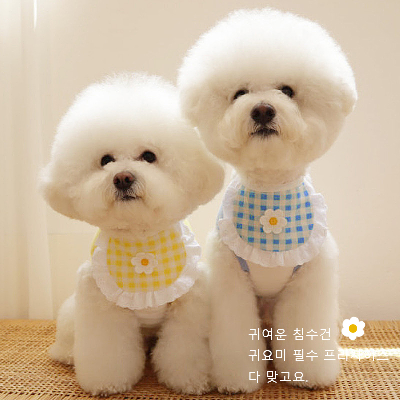 狗狗口水巾大小型犬小狗围兜狗宠物高颜值外出小花边装扮饰品用品