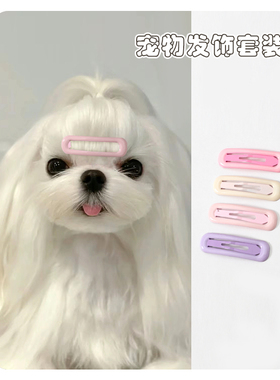 马尔济斯幼犬专用发夹狗狗头饰不掉约克夏小狗发卡可爱发饰碎发夹